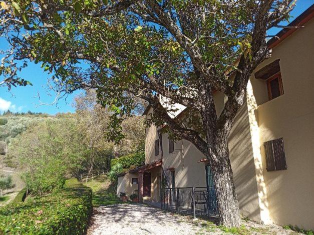 פונטאסייבה Agriturismo Il Giardino מראה חיצוני תמונה